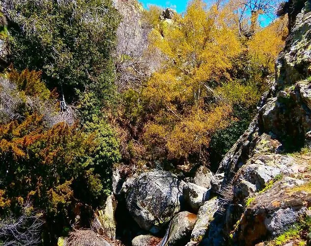 Casa Sebastiana Losar De La Vera